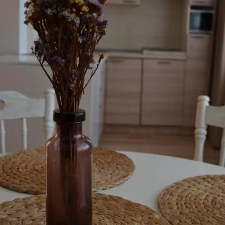Apartament Saulys Druskieniki