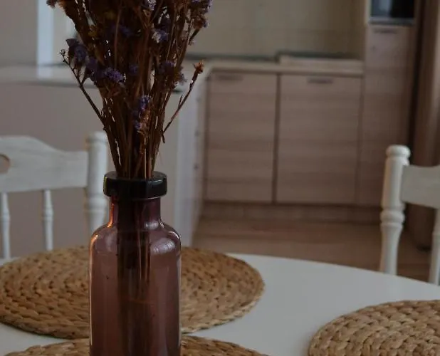 Apartament Saulys Druskieniki